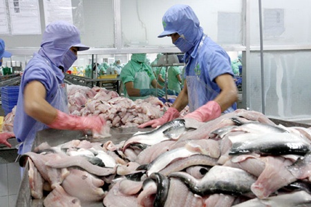 Falling output likely to hit tra fish exports